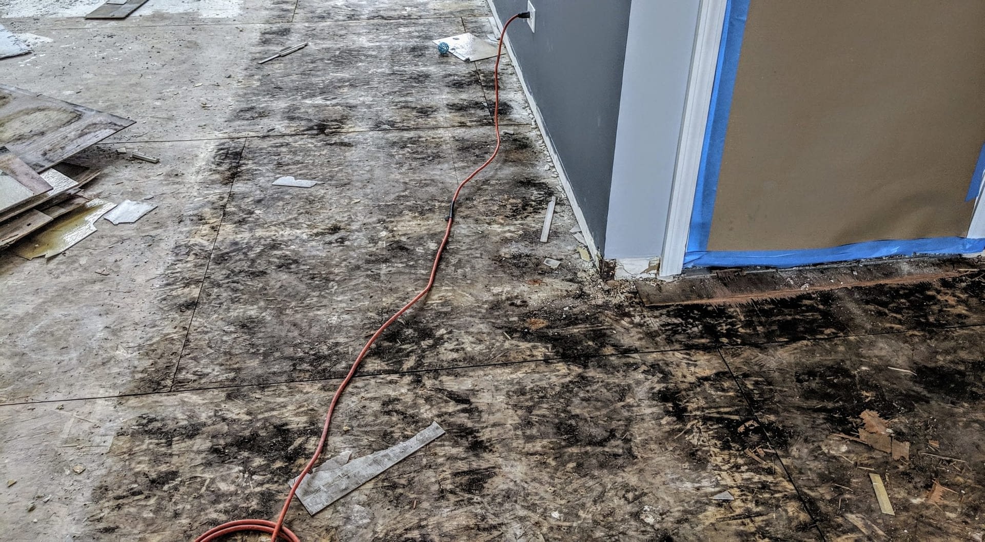 Signs Of Mold Contamination Smart Mold