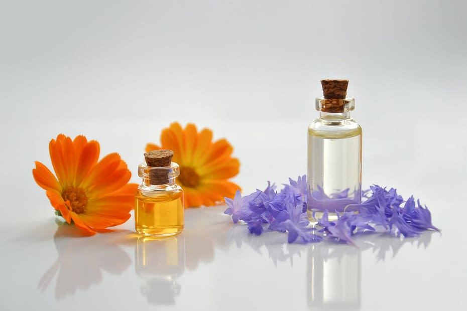 Lutte Mold Naturellement Avec Les Huiles Essentielles Mold Smart