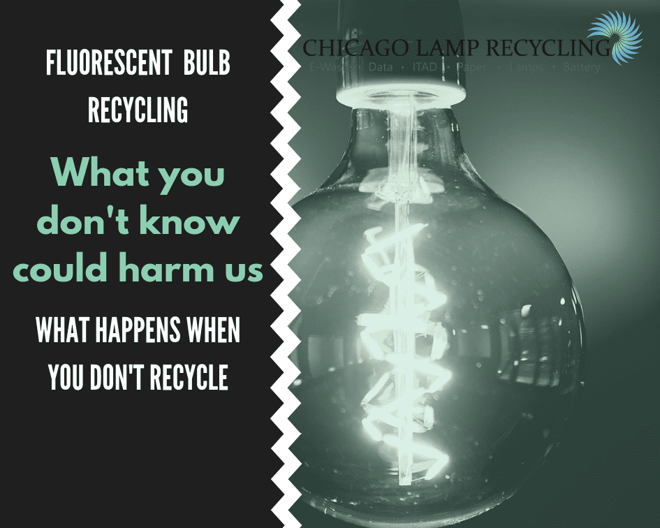 Fluorescent bulb recycling