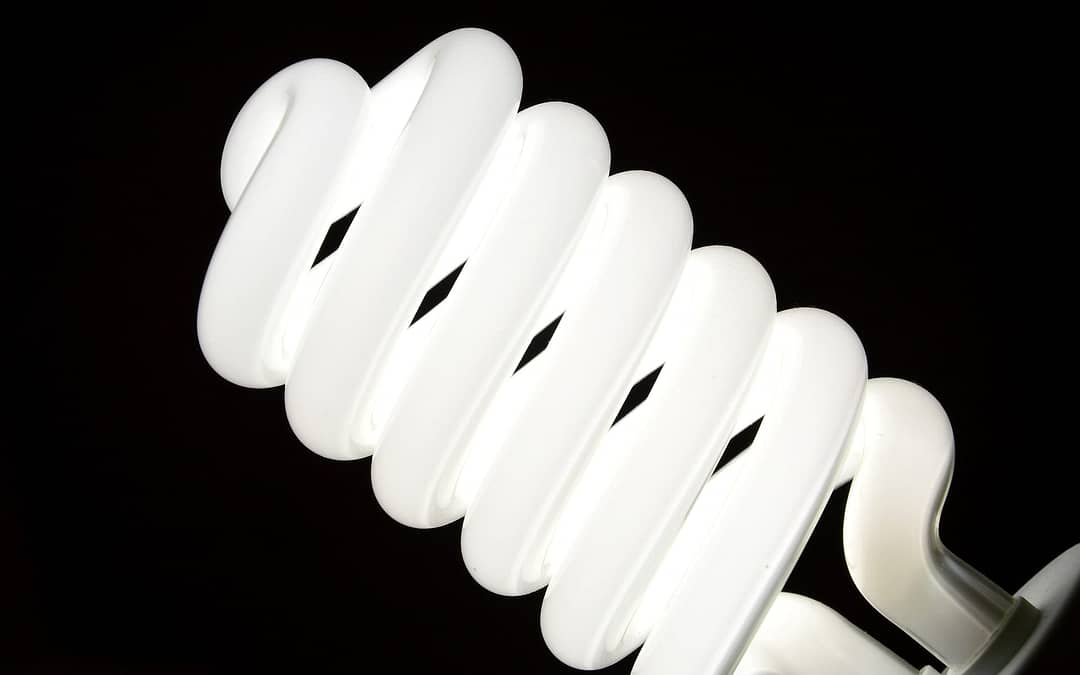 Why is it Important to Recycle Fluorescent Bulbs?