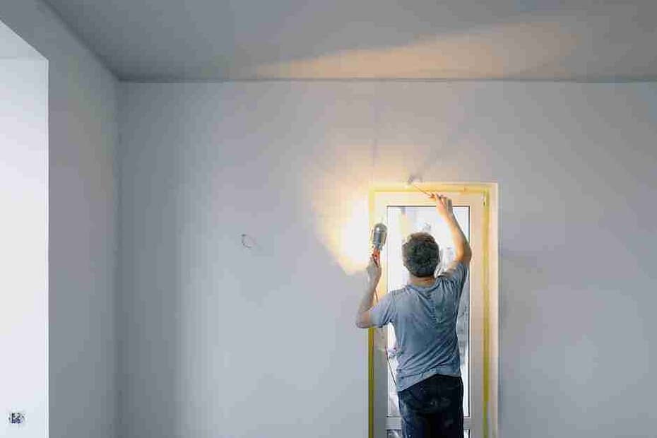 Mold Removal Nightmare: How to Fix Your Home Fast