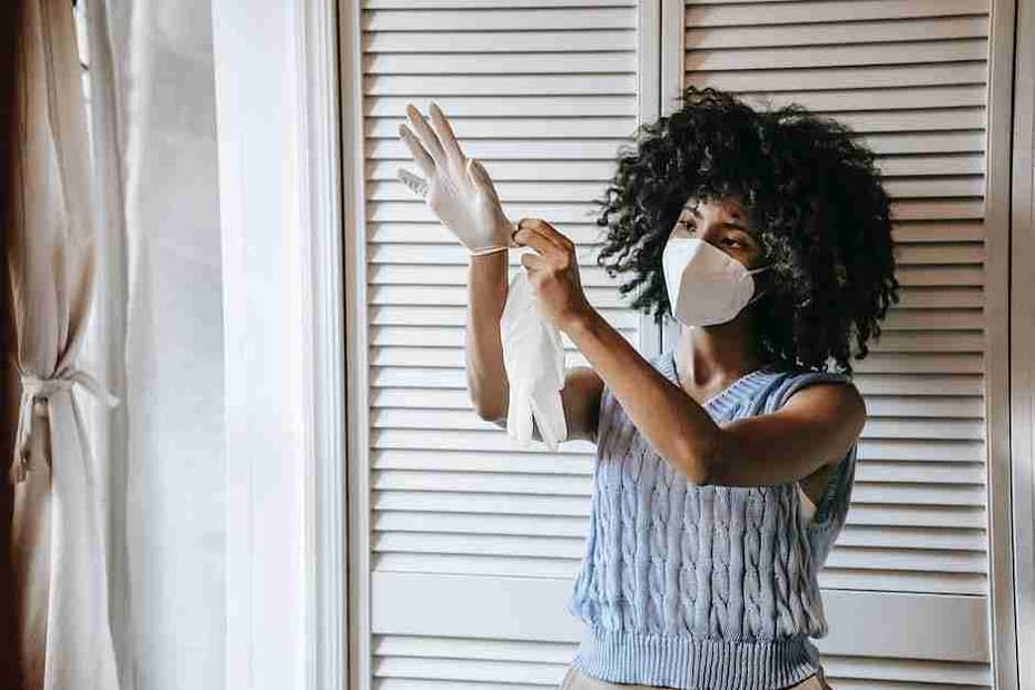 The Most Dangerous Types of Mold and How to Remove Them