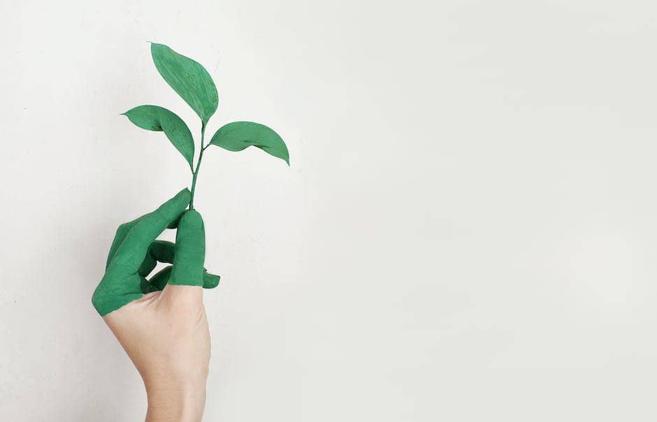 Sustainability and ITAD: Illinois's Green IT Revolution