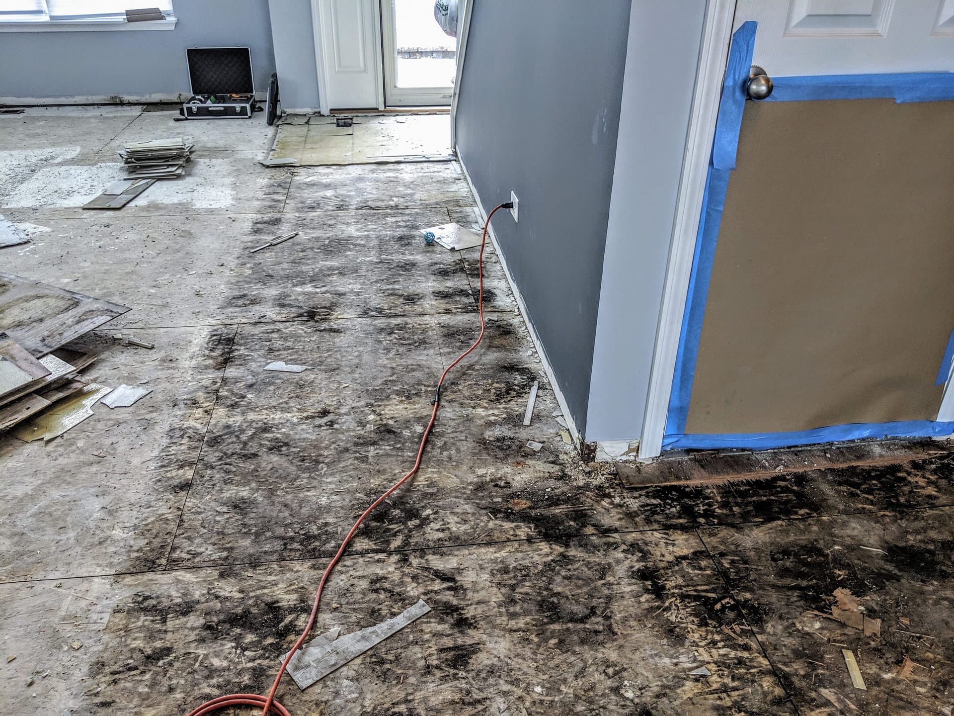MVIMG_20190205_102015